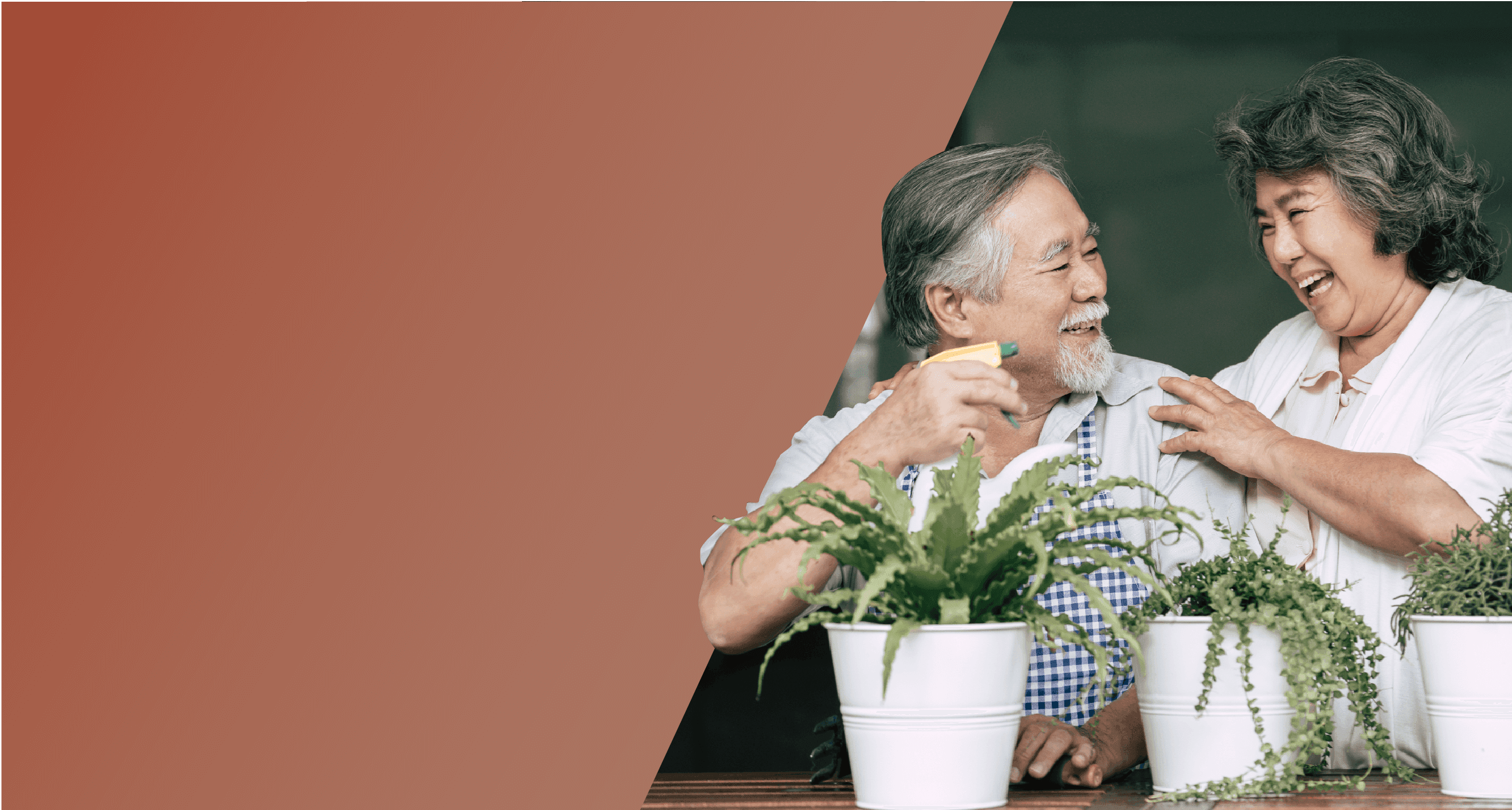 Header Persona Pesara